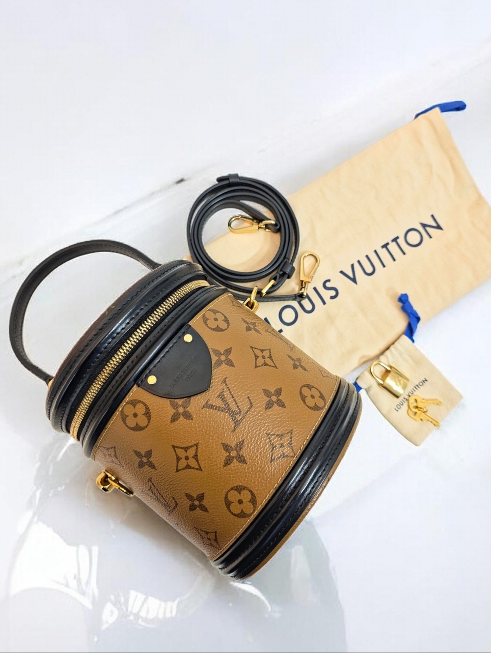 Louis Vuitton Cannes Reverse Monogram Canvas Vanity Crossbody Bag - Picture 4 of 16
